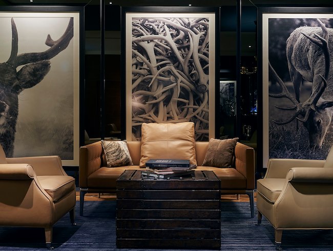 Stags' Room